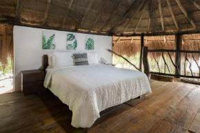 Palapa de la Selva with Cenotes